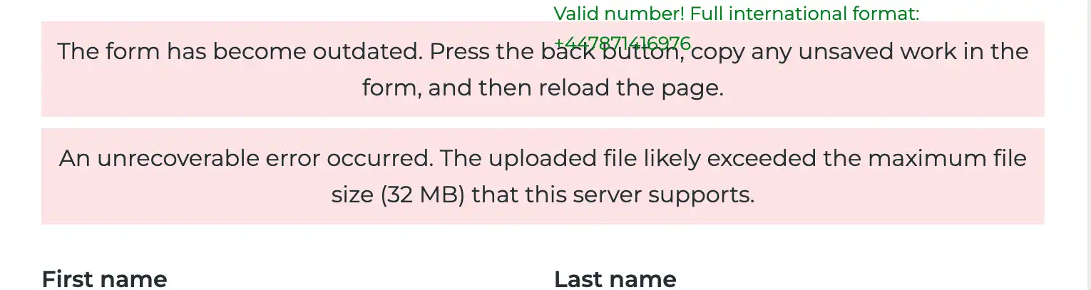 Screenshot of the Valid Number bug